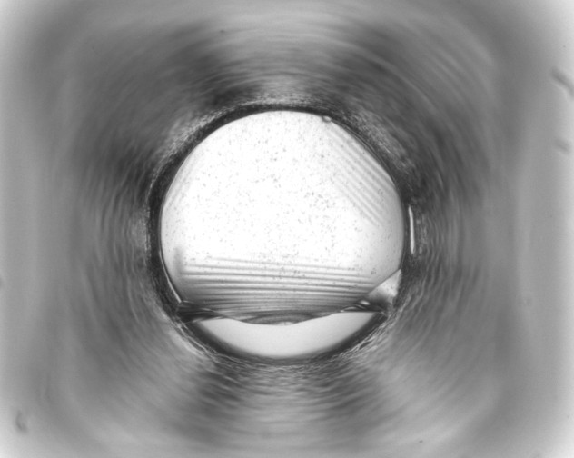 X0000093420252200711021020