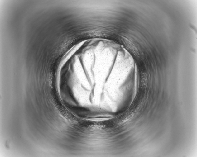 X0000093420255200711021020