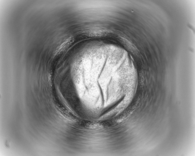 X0000093420258200711021020