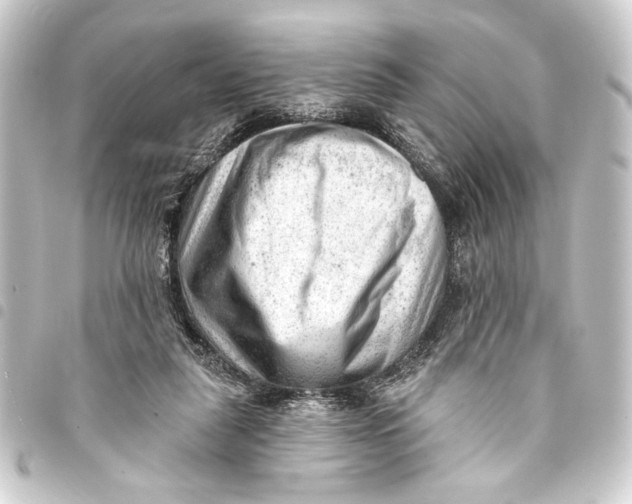 X0000093420259200711021020