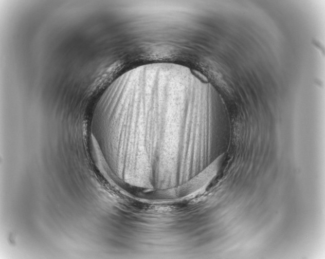 X0000093420260200711021020