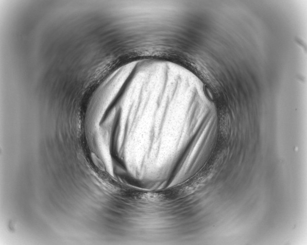 X0000093420261200711021020