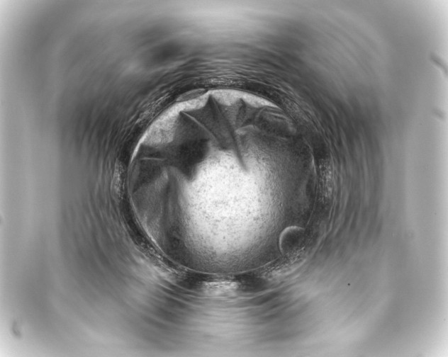 X0000093420266200711021020