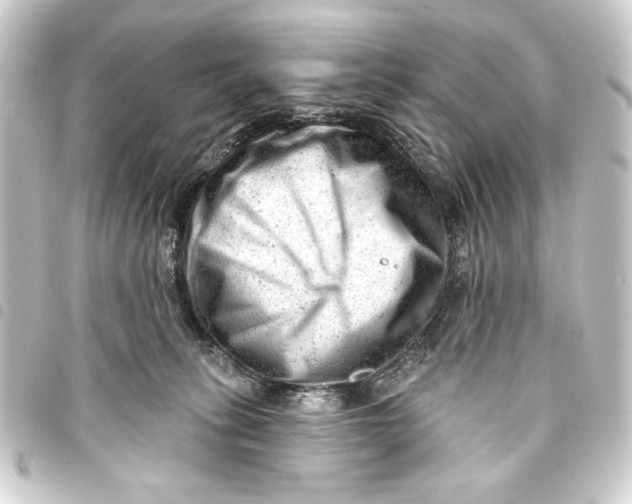 X0000093420275200711021020