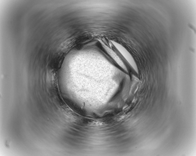 X0000093420276200711021020