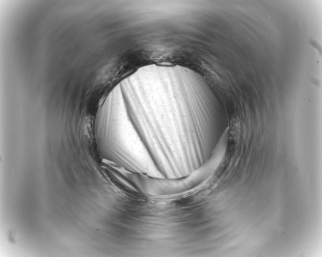 X0000093420280200711021020