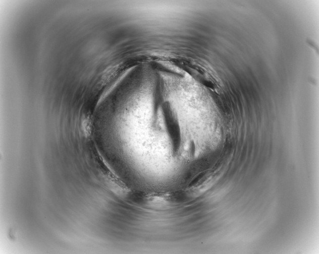 X0000093420285200711021020