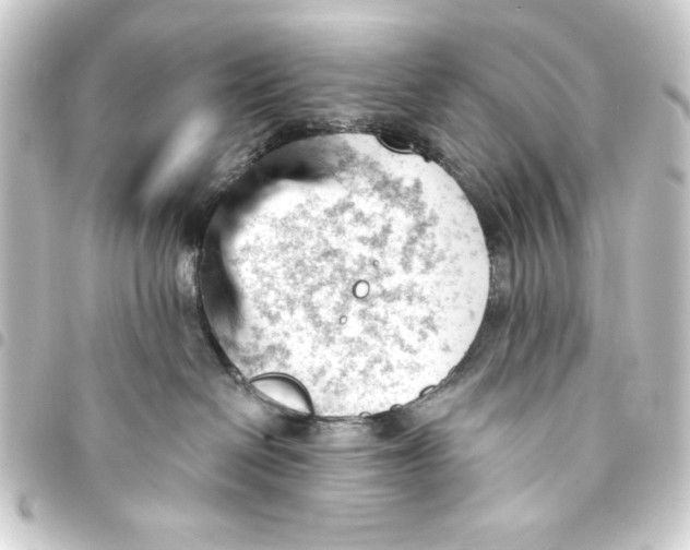 X0000093420286200711021020