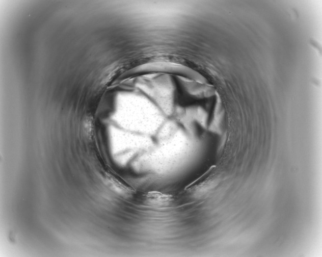 X0000093420288200711021020