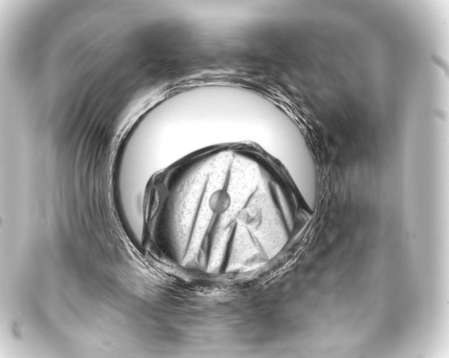 X0000093420293200711021020