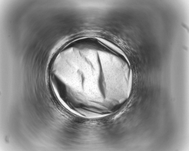 X0000093420294200711021020