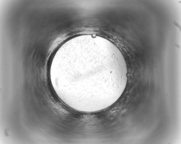 X0000093420296200711021020