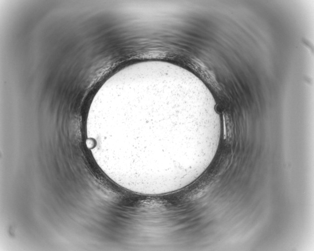 X0000093420300200711021020