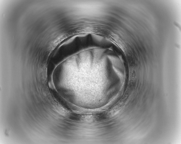 X0000093420301200711021020