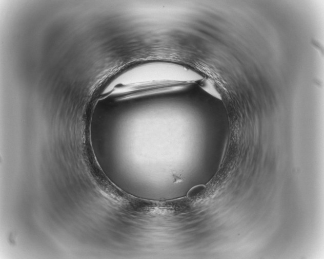 X0000093420303200711021020