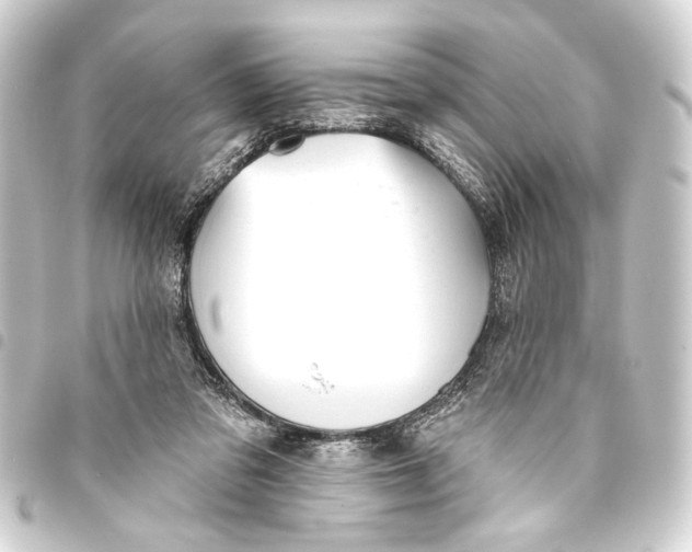 X0000093420309200711021020