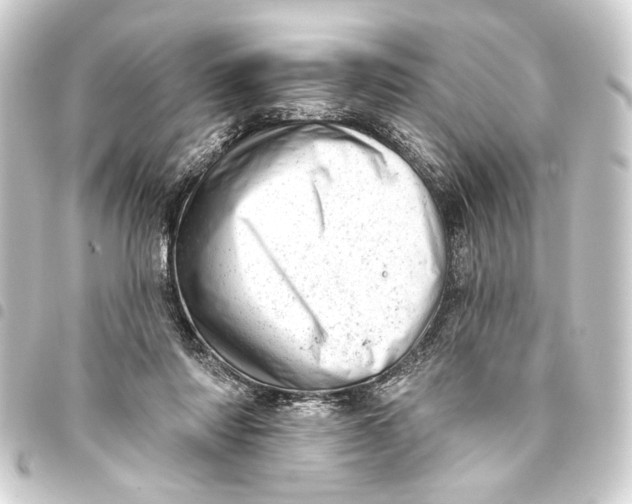 X0000093420310200711021020