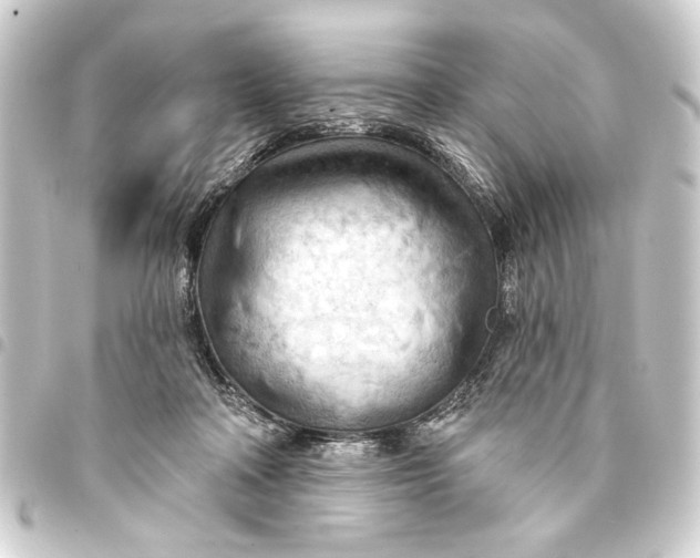 X0000093420314200711021020