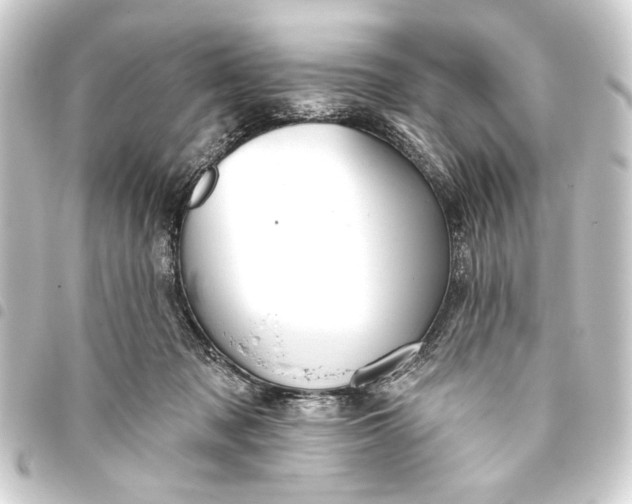 X0000093420317200711021020