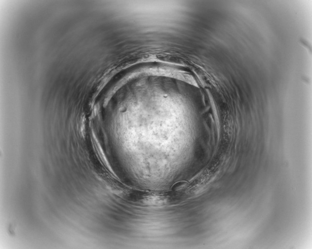 X0000093420319200711021020