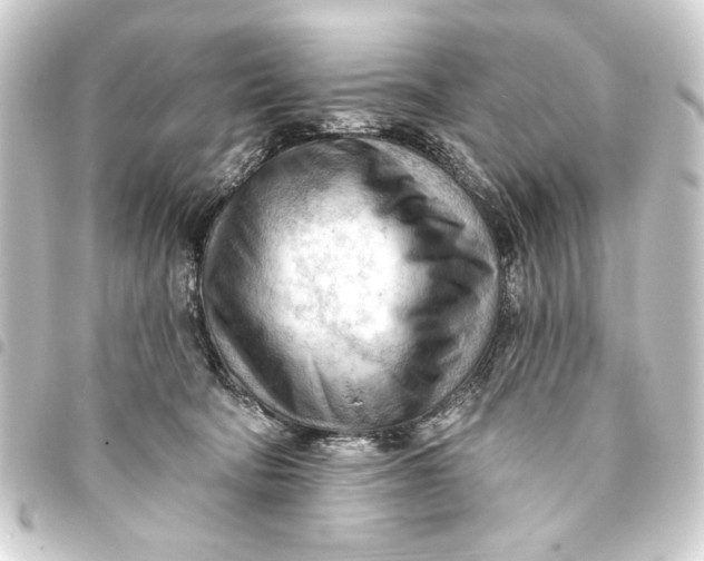 X0000093420322200711021020