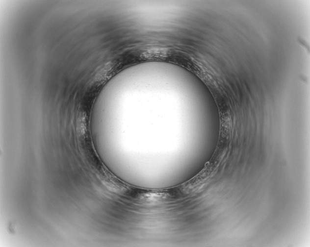 X0000093420323200711021020