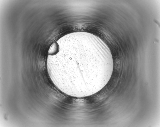 X0000093420324200711021019