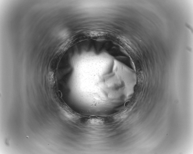 X0000093420327200711021019