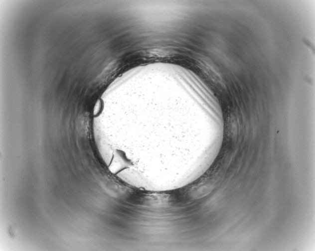 X0000093420328200711021019