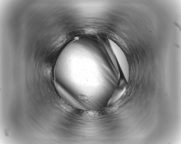 X0000093420329200711021019