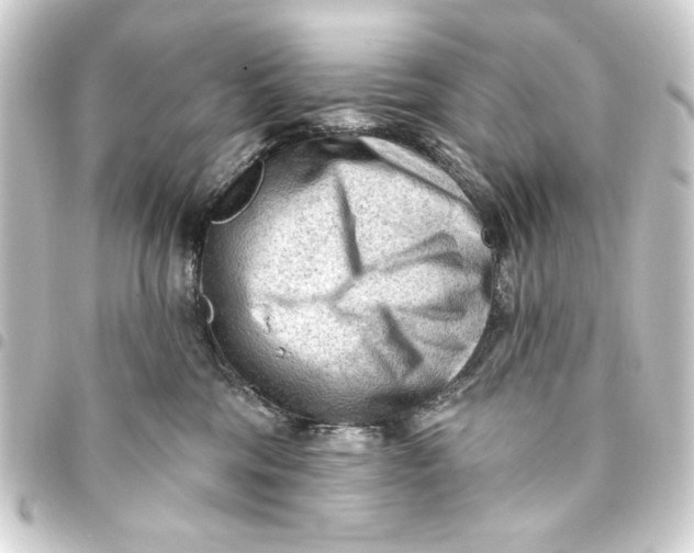 X0000093420330200711021019