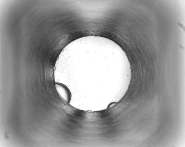 X0000093420336200711021019