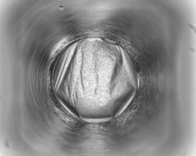 X0000093420339200711021019