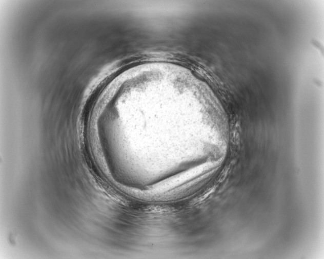 X0000093420343200711021019