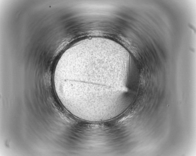 X0000093420347200711021019