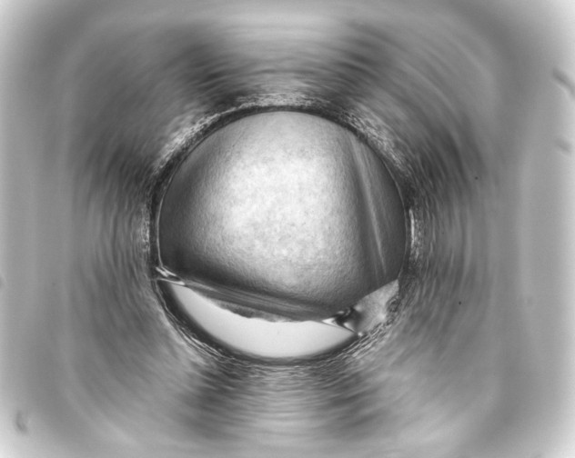 X0000093420348200711021019