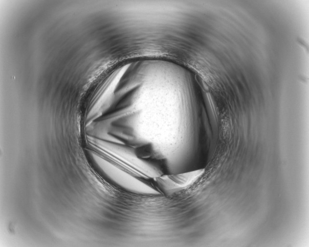 X0000093420350200711021019