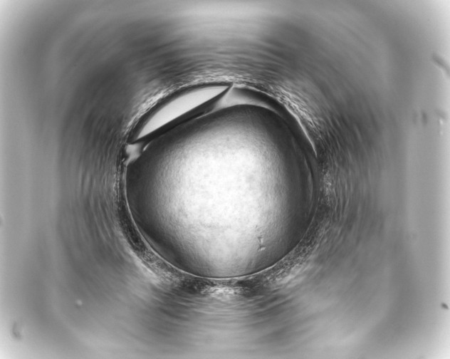 X0000093420352200711021019