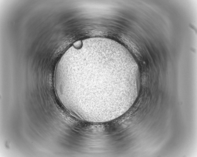 X0000093420353200711021019