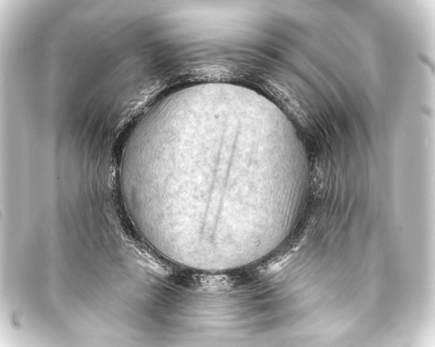 X0000093420355200711021019