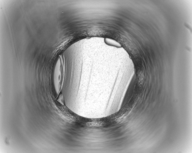 X0000093420356200711021019