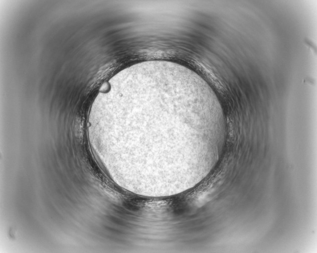 X0000093420357200711021019