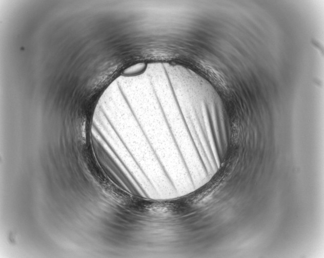 X0000093420358200711021019