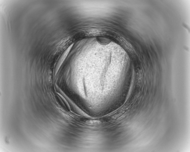 X0000093420361200711021019