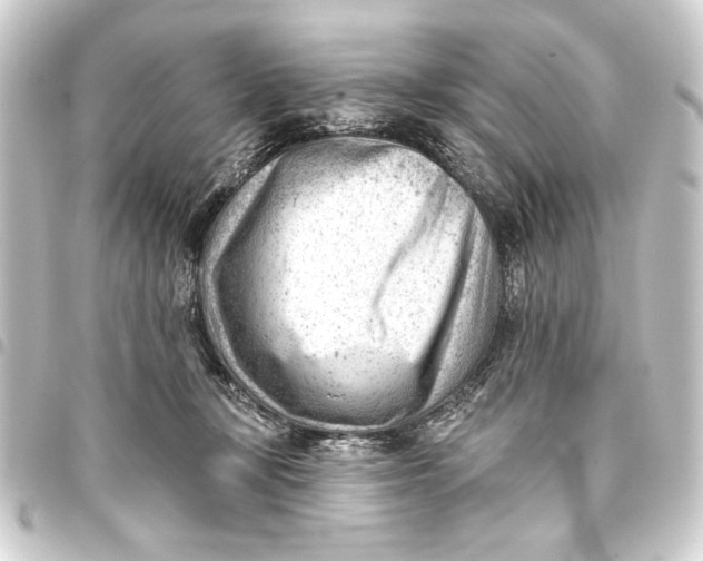 X0000093420367200711021019