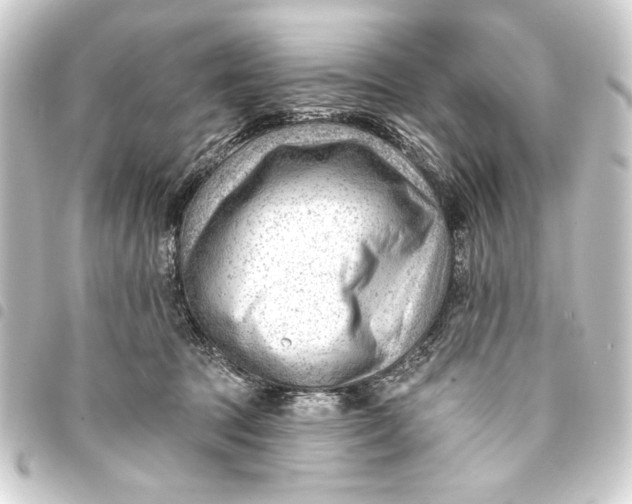 X0000093420369200711021019