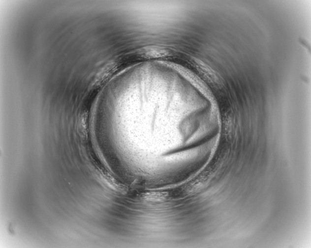 X0000093420373200711021019