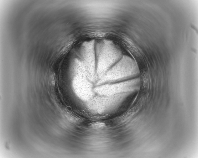 X0000093420374200711021019