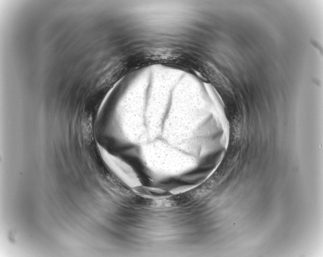 X0000093420376200711021019