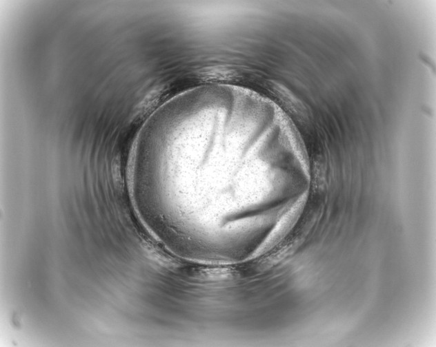 X0000093420377200711021019